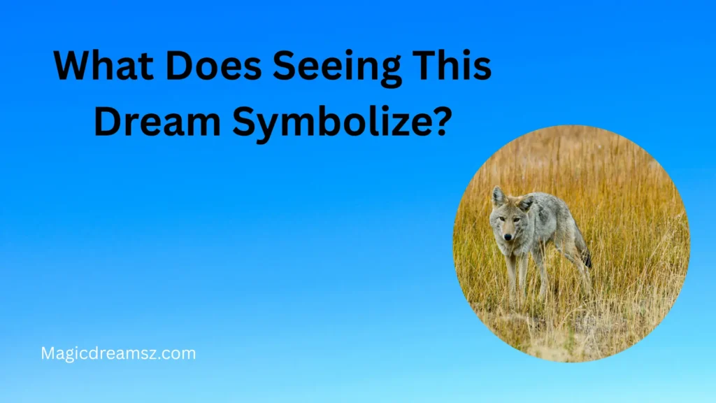 What Does Seeing This Dream