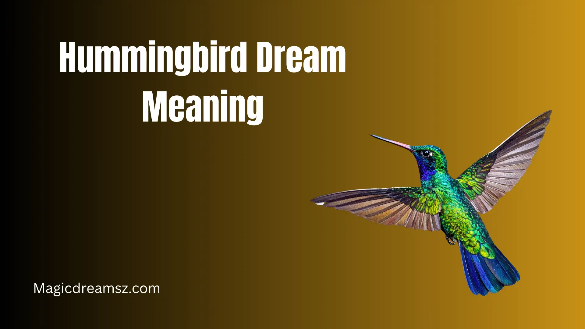 Hummingbird Dream Meaning