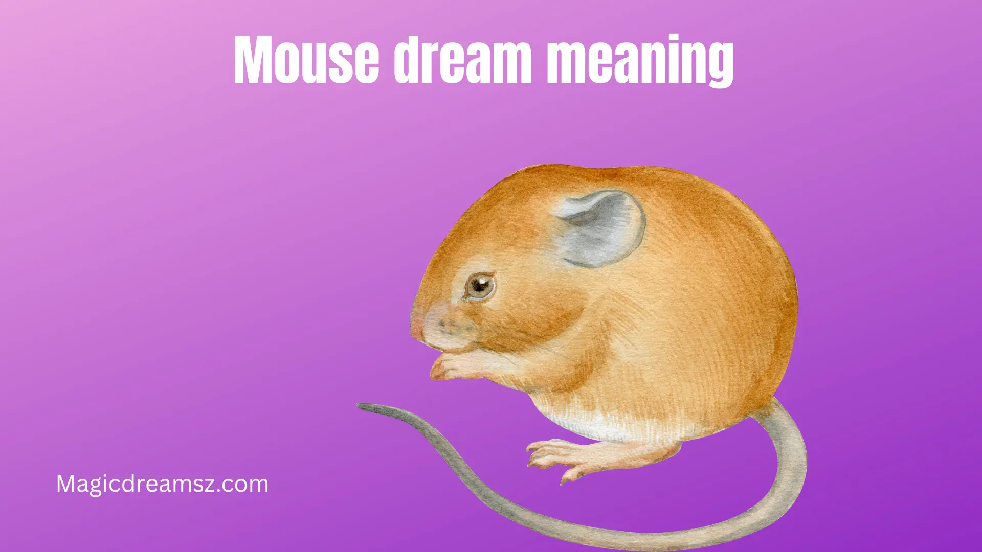  Mouse dream meaning