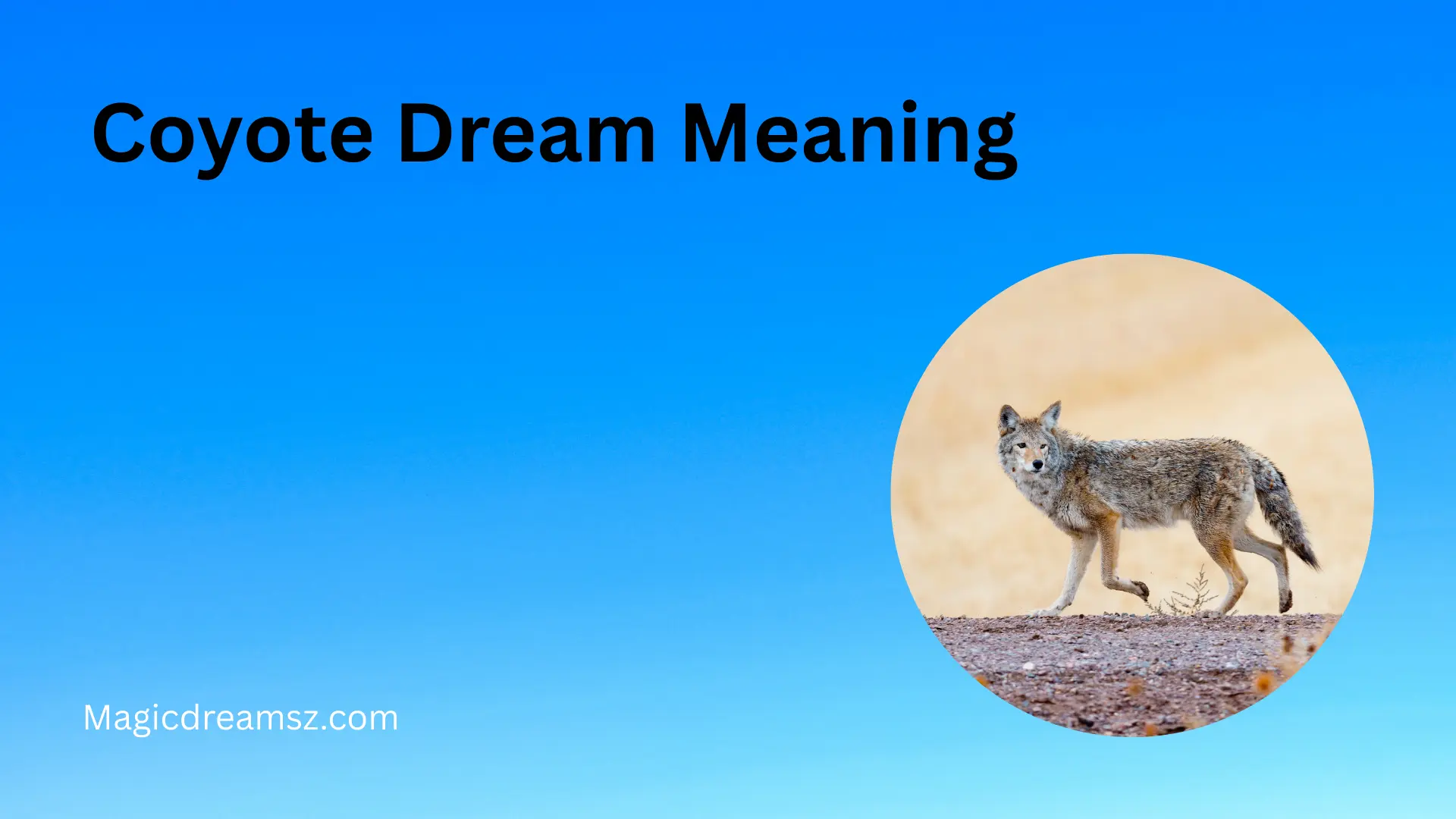Coyote Dream Meaning