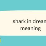 shark in dream meaning